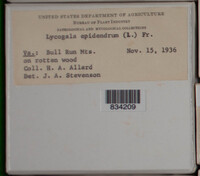 Image Associated With the Occurence